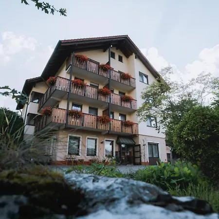 弗莱尔酒店-盖斯霍夫伦姆赫希 3* Hayingen