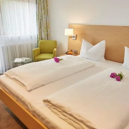 弗莱尔酒店-盖斯霍夫伦姆赫希 3*